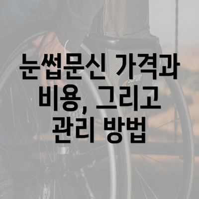 눈썹문신 가격과 비용, 그리고 관리 방법