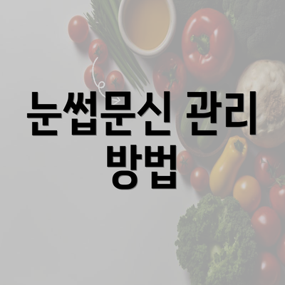 눈썹문신 관리 방법