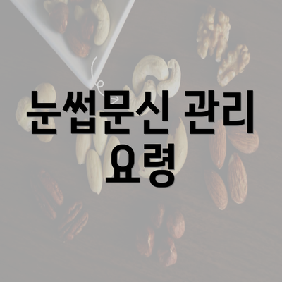 눈썹문신 관리 요령