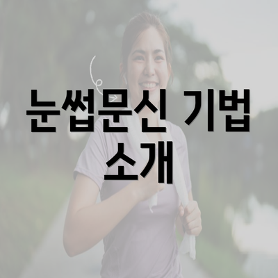 눈썹문신 기법 소개