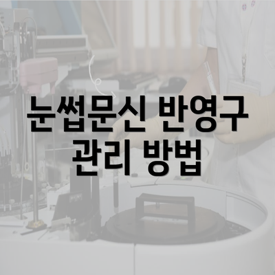 눈썹문신 반영구 관리 방법