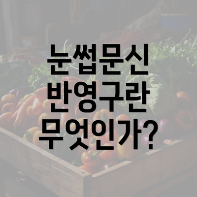 눈썹문신 반영구란 무엇인가?