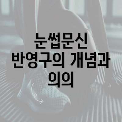 눈썹문신 반영구의 개념과 의의