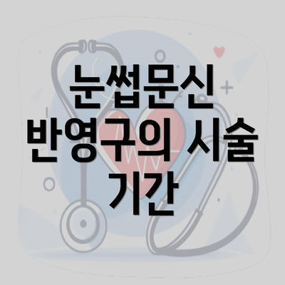 눈썹문신 반영구의 시술 기간