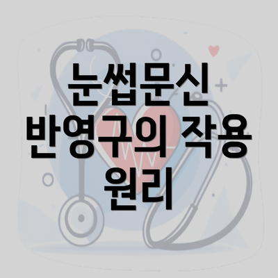 눈썹문신 반영구의 작용 원리