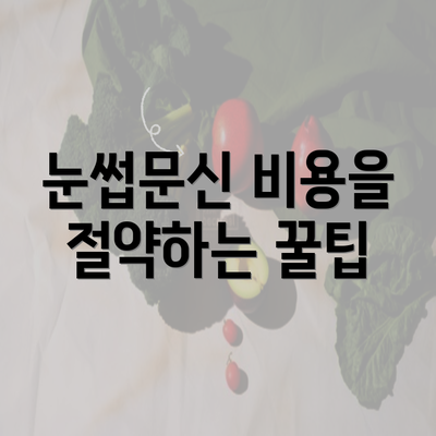 눈썹문신 비용을 절약하는 꿀팁