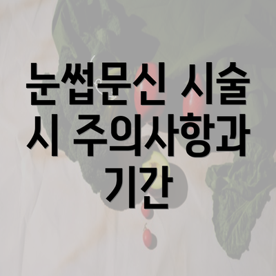 눈썹문신 시술 시 주의사항과 기간