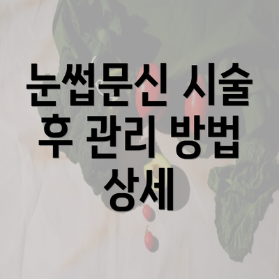 눈썹문신 시술 후 관리 방법 상세