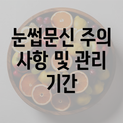 눈썹문신 주의 사항 및 관리 기간