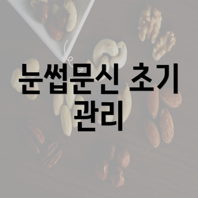 눈썹문신 초기 관리