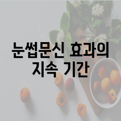 눈썹문신 효과의 지속 기간