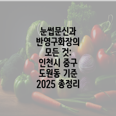 눈썹문신과 반영구화장의 모든 것: 인천시 중구 도원동 기준 2025 총정리