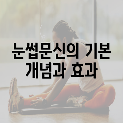 눈썹문신의 기본 개념과 효과