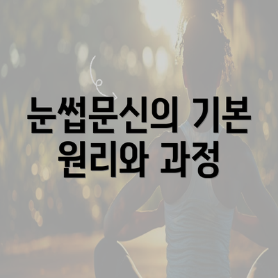 눈썹문신의 기본 원리와 과정