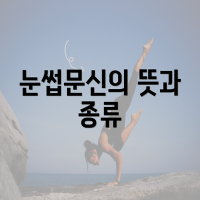 눈썹문신의 뜻과 종류