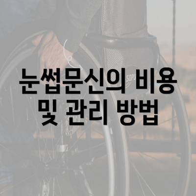 눈썹문신의 비용 및 관리 방법