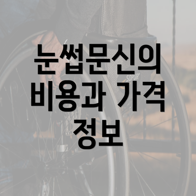 눈썹문신의 비용과 가격 정보