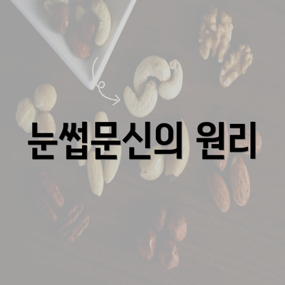 눈썹문신의 원리