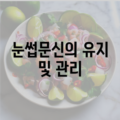 눈썹문신의 유지 및 관리