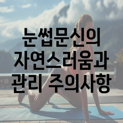 눈썹문신의 자연스러움과 관리 주의사항