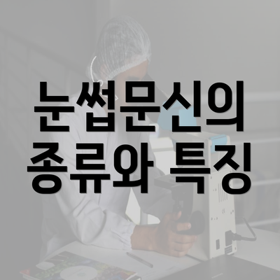 눈썹문신의 종류와 특징