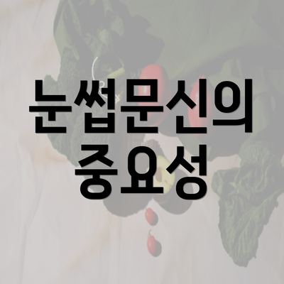 눈썹문신의 중요성