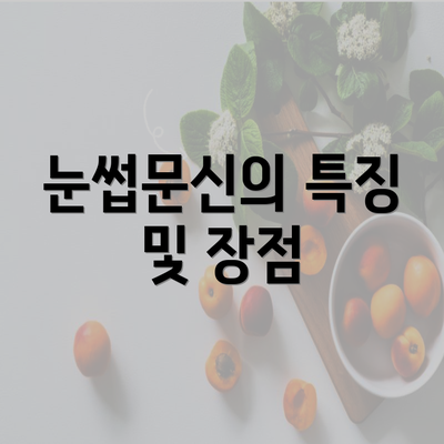 눈썹문신의 특징 및 장점