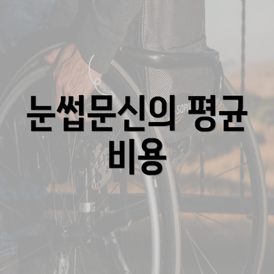 눈썹문신의 평균 비용