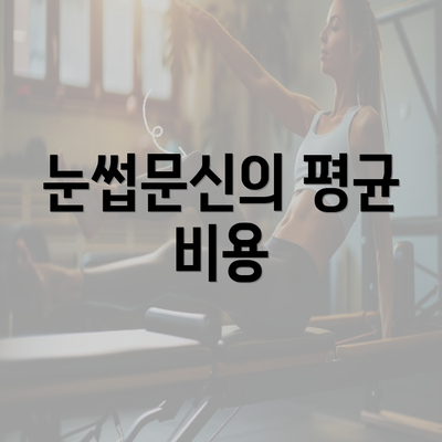 눈썹문신의 평균 비용