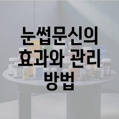 눈썹문신의 효과와 관리 방법