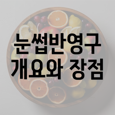 눈썹반영구 개요와 장점