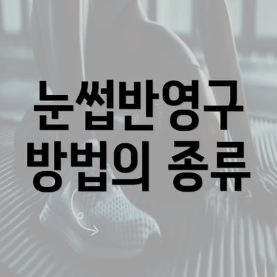 눈썹반영구 방법의 종류