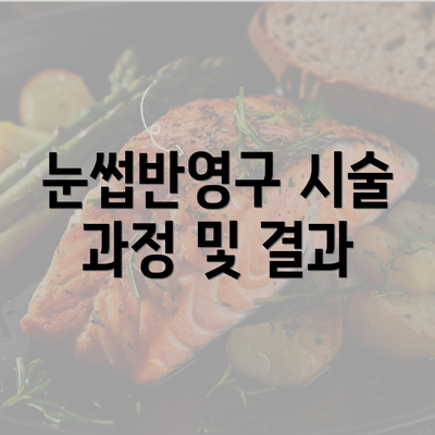 눈썹반영구 시술 과정 및 결과