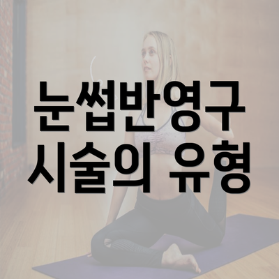 눈썹반영구 시술의 유형