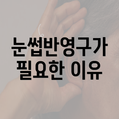 눈썹반영구가 필요한 이유