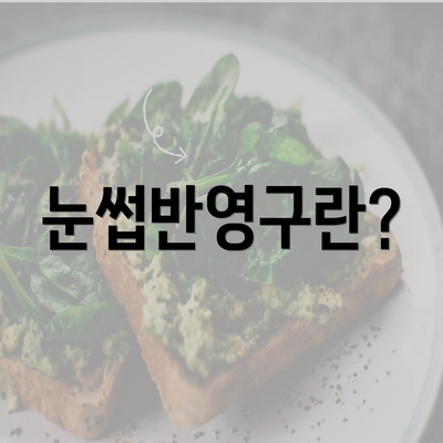 눈썹반영구란?