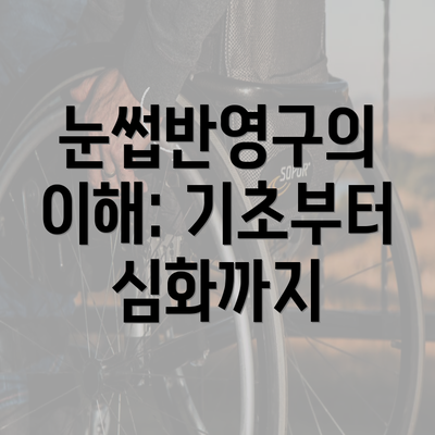 눈썹반영구의 이해: 기초부터 심화까지