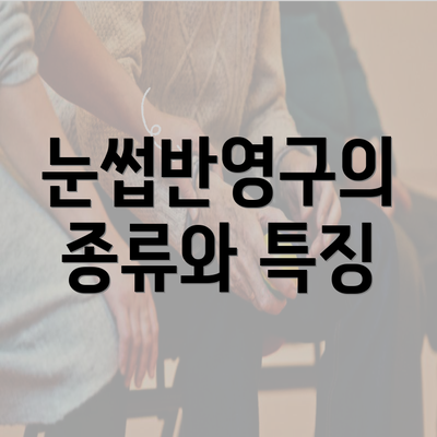 눈썹반영구의 종류와 특징