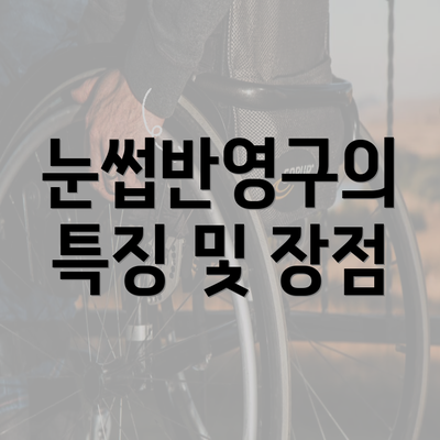 눈썹반영구의 특징 및 장점