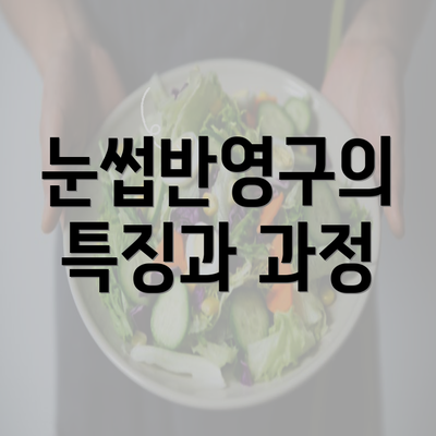 눈썹반영구의 특징과 과정