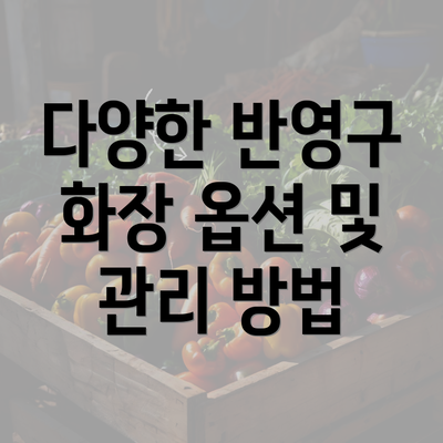 다양한 반영구 화장 옵션 및 관리 방법