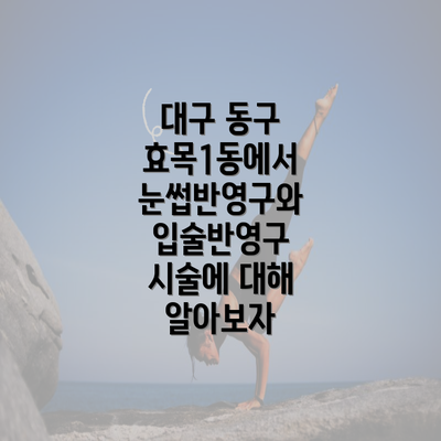 대구 동구 효목1동에서 눈썹반영구와 입술반영구 시술에 대해 알아보자