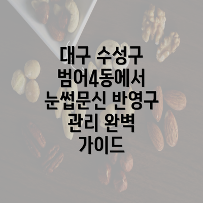 대구 수성구 범어4동에서 눈썹문신 반영구 관리 완벽 가이드