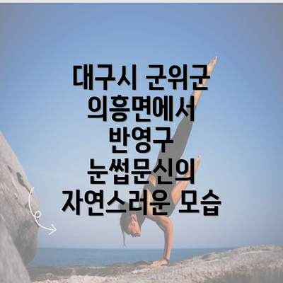 대구시 군위군 의흥면에서 반영구 눈썹문신의 자연스러운 모습