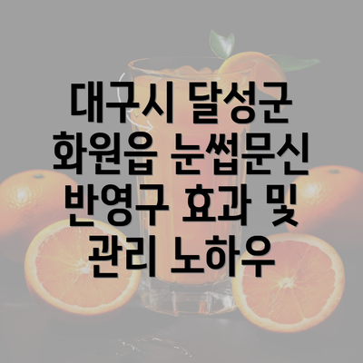 대구시 달성군 화원읍 눈썹문신 반영구 효과 및 관리 노하우