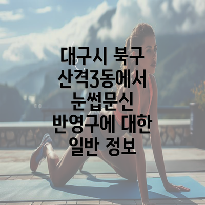 대구시 북구 산격3동에서 눈썹문신 반영구에 대한 일반 정보