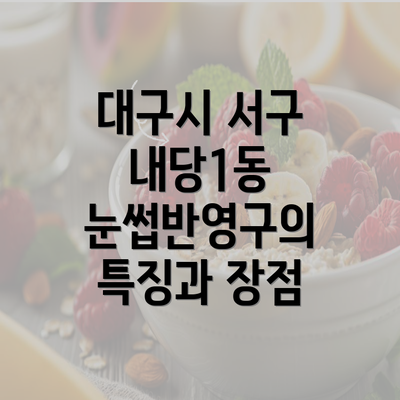 대구시 서구 내당1동 눈썹반영구의 특징과 장점