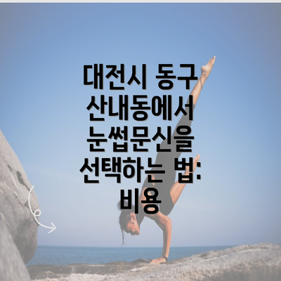 대전시 동구 산내동에서 눈썹문신을 선택하는 법: 비용