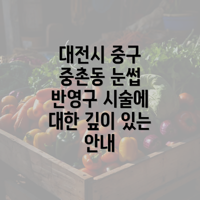 대전시 중구 중촌동 눈썹 반영구 시술에 대한 깊이 있는 안내