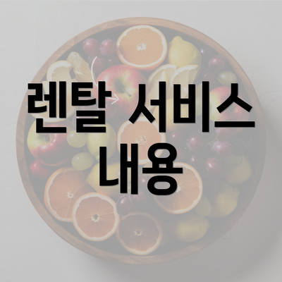 렌탈 서비스 내용